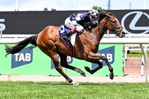 LITZDEEL SIGNALS 2026 CUP INTENTIONS WITH DEMOLITION